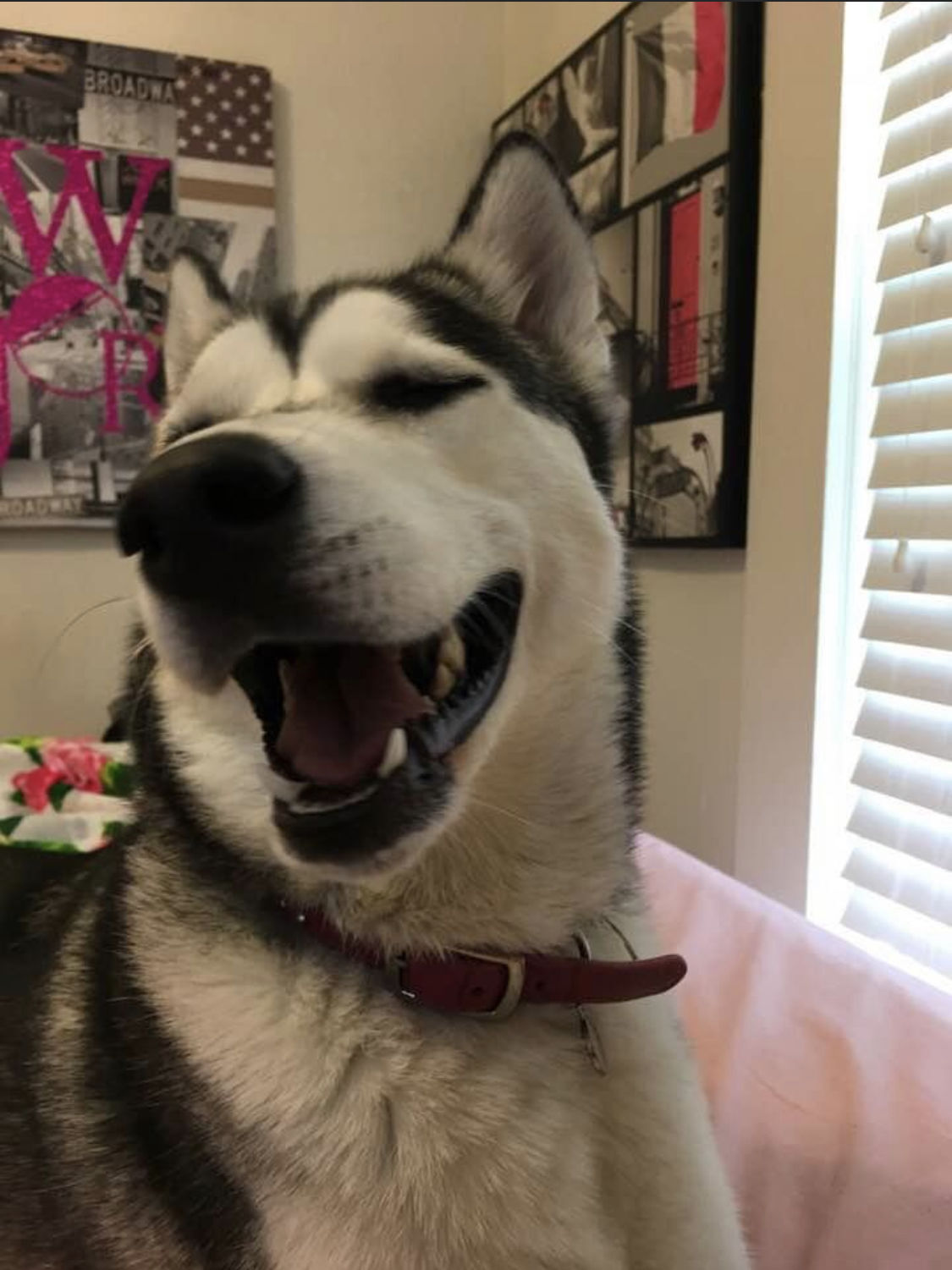 Delilah